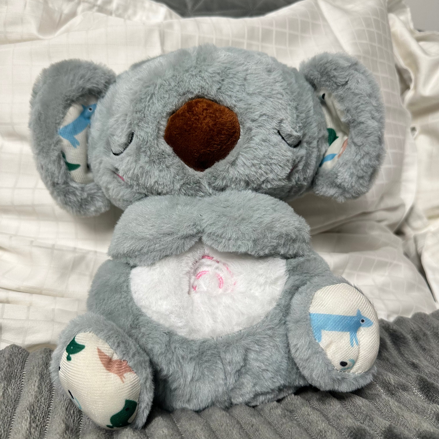 Oddychająca Koala