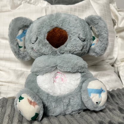 Oddychająca Koala